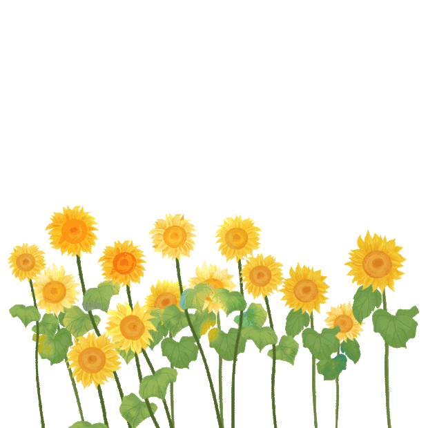 夏天植物向日葵随风摆动小清新黄色gif图素材