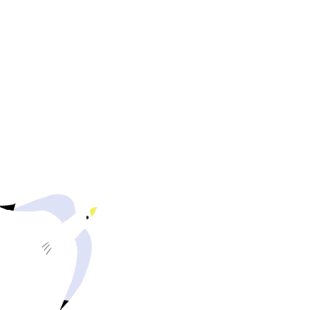 海鸥鸟飞鸟小鸟白色gif图素材