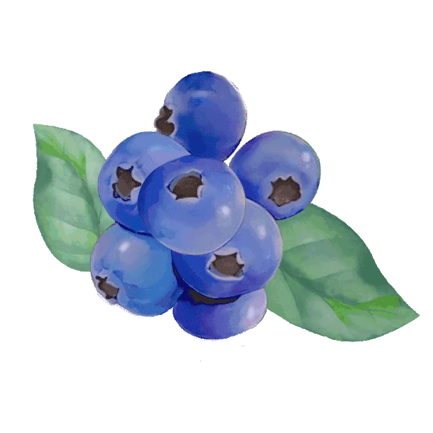 好吃蓝莓水果美味蓝色gif图素材