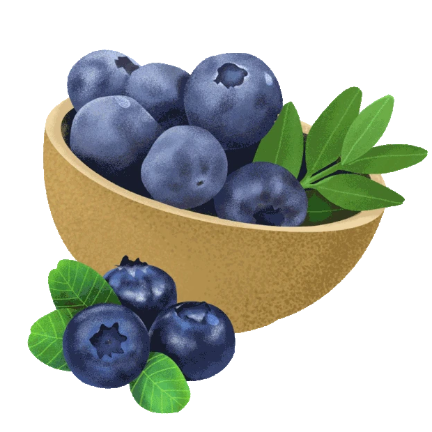 水果蓝莓蓝色gif图素材