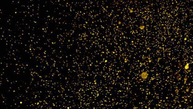 光效发光金粉粒子飘散视频背景gif图素材
