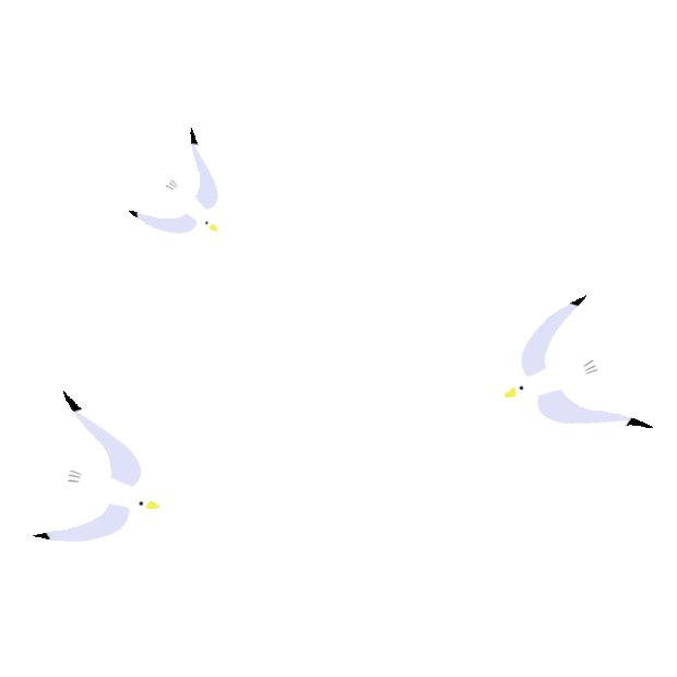 海鸟海鸥飞翔白色gif图素材