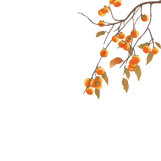 秋天立秋植物树木柿子树叶子果实飘落gif图素材