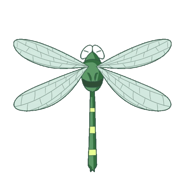 卡通绿色蜻蜓昆虫gif图素材