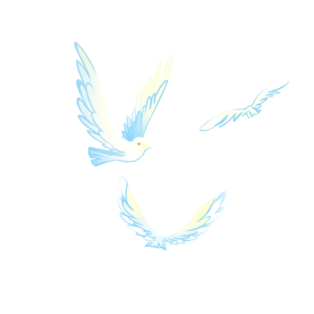 鸽子和平鸽飞翔白色飞鸟gif图素材