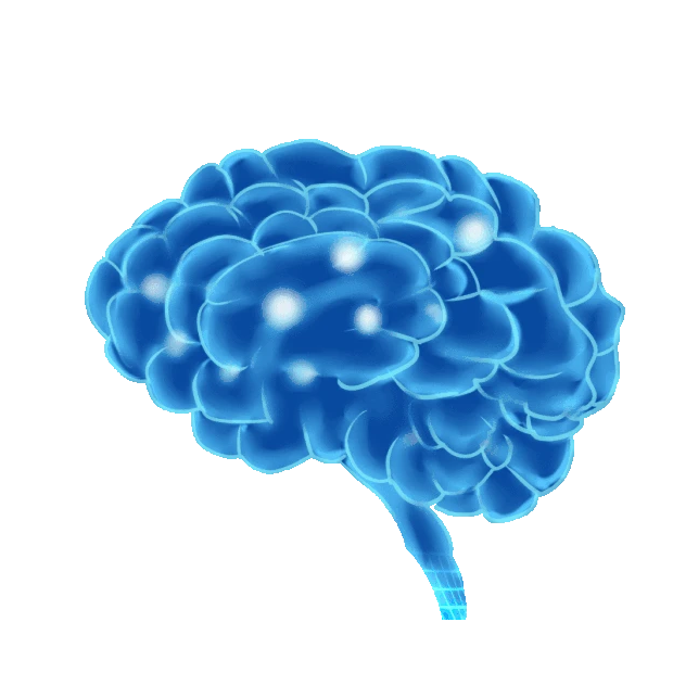 医疗扫描网格大脑人体器官智慧gif图素材