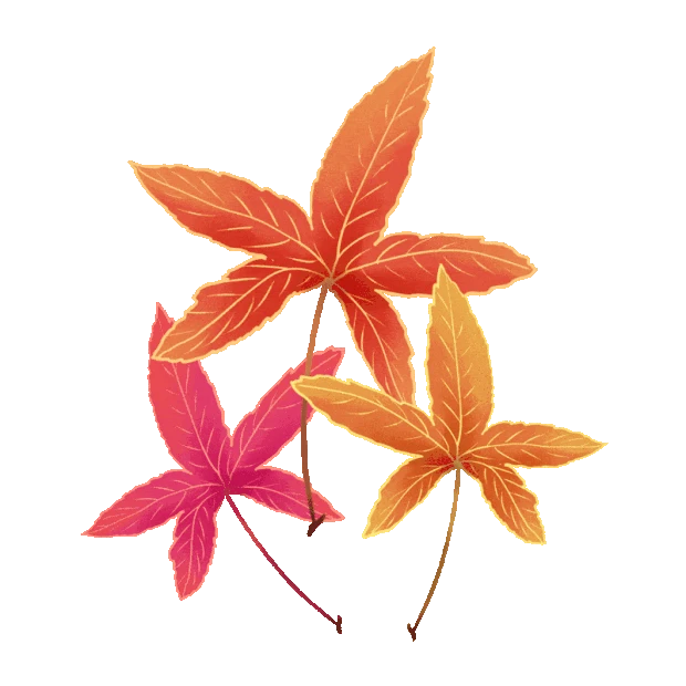 秋天立秋红枫叶树叶叶子gif图素材
