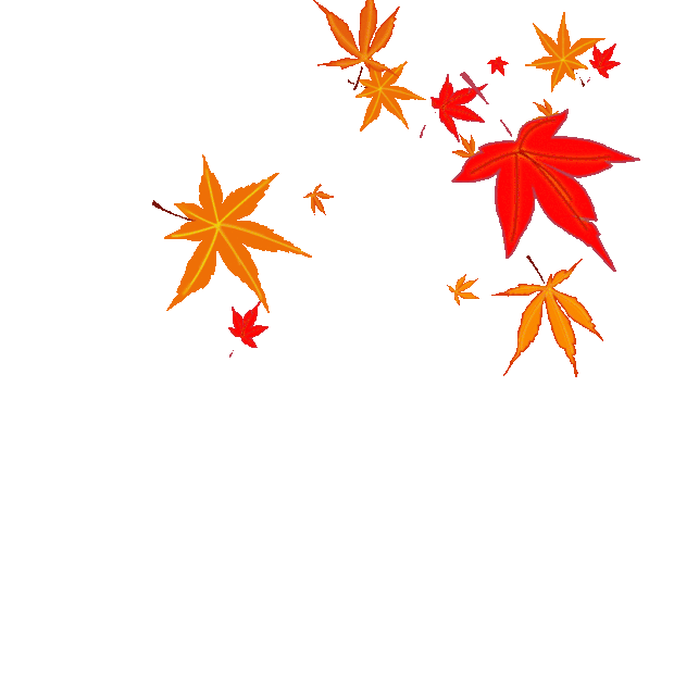 秋天枫叶飘落漂浮彩色gif图素材