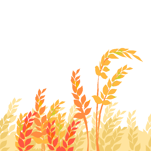 秋天立秋秋分节气小麦植物底边gif图素材