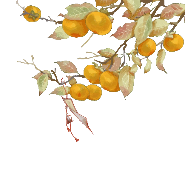秋天树枝柿子熟了彩色gif图素材