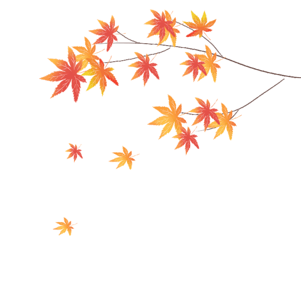 秋天枫叶树叶落叶红色叶子树枝gif图素材