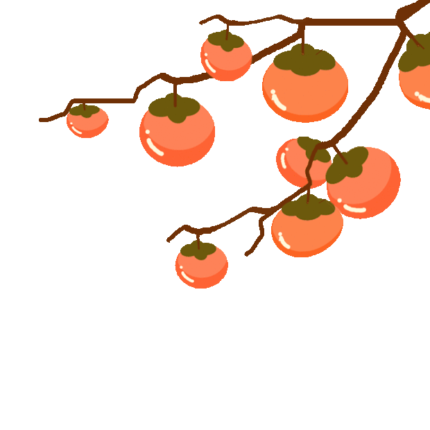 秋天柿子树收获果实gif图素材