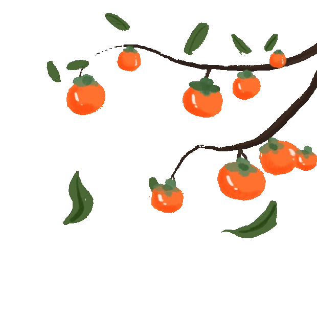 秋天柿子树果实成熟gif图素材