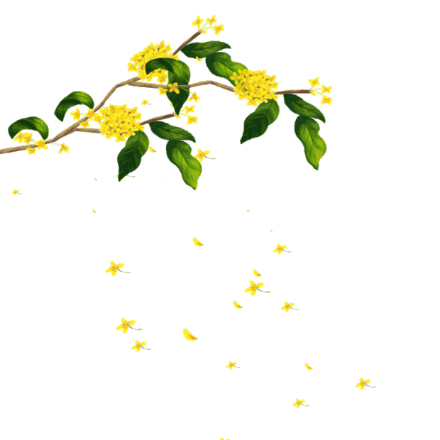 中秋节中秋桂花枝花瓣飘落浪漫黄色gif图素材