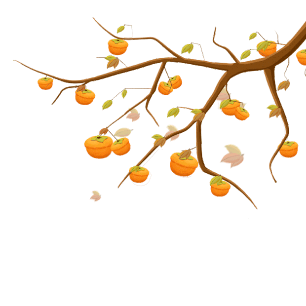 秋天柿子树飘落秋收橙色gif图素材