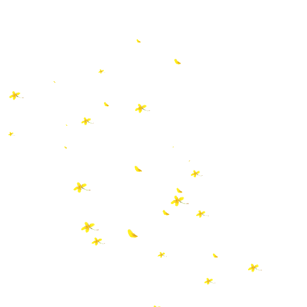 中秋节中秋桂花花瓣飘落漂浮唯美浪漫黄色gif图素材