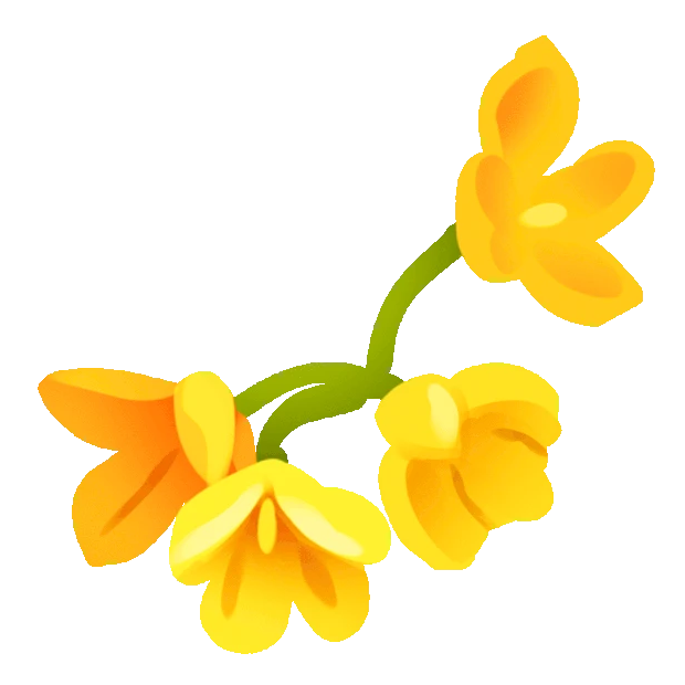 黄色桂花植物花朵花gif图素材