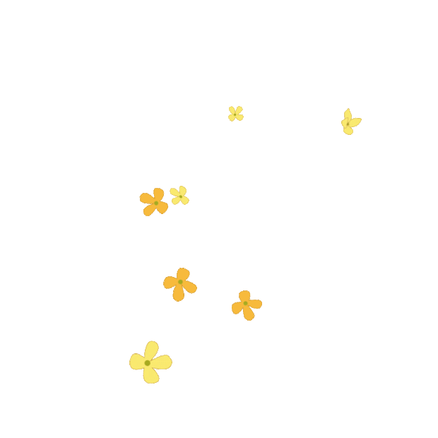桂花花朵花瓣飘落漂浮植物浪漫黄色gif图素材