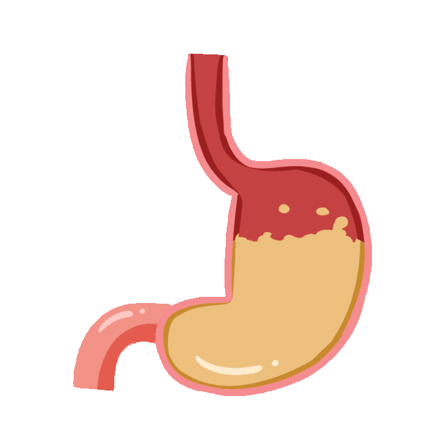 医疗人体器官胃胃酸消化gif图素材