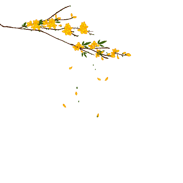 秋天桂花随风摆动花瓣飘落简约黄色gif图素材