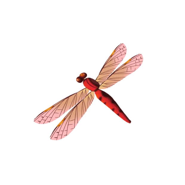 红色蜻蜓飞昆虫gif图素材