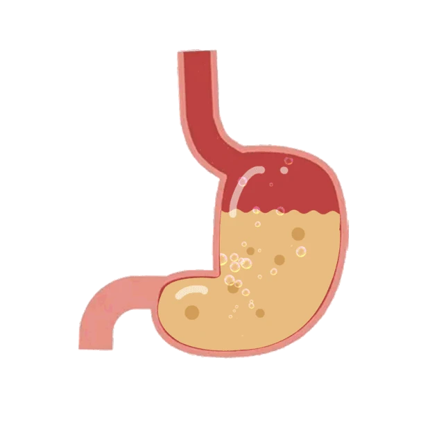 胃酸胃热胃部蠕动gif图素材