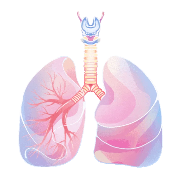 医疗人体器官肺部呼吸gif图素材