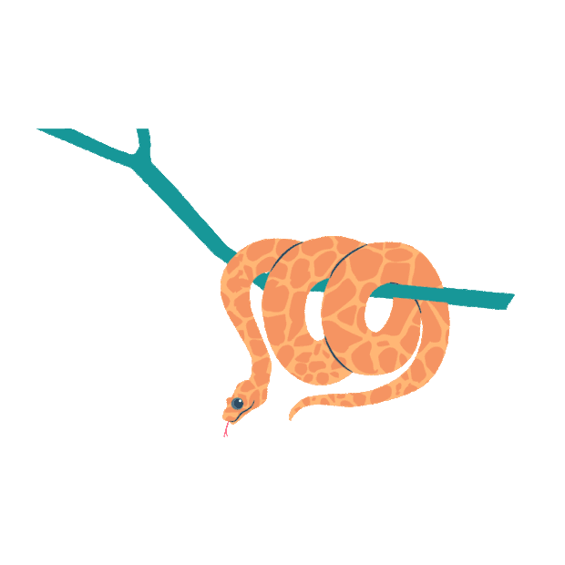 橙色蟒蛇动物gif图素材