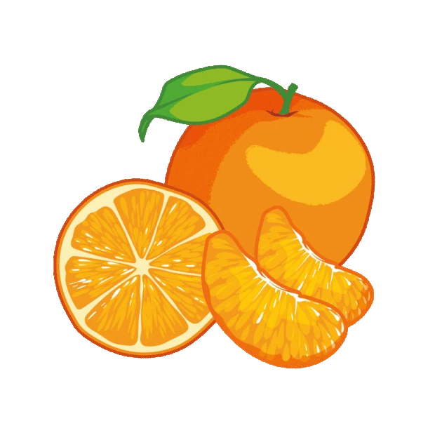 水果橘子橙色gif图素材