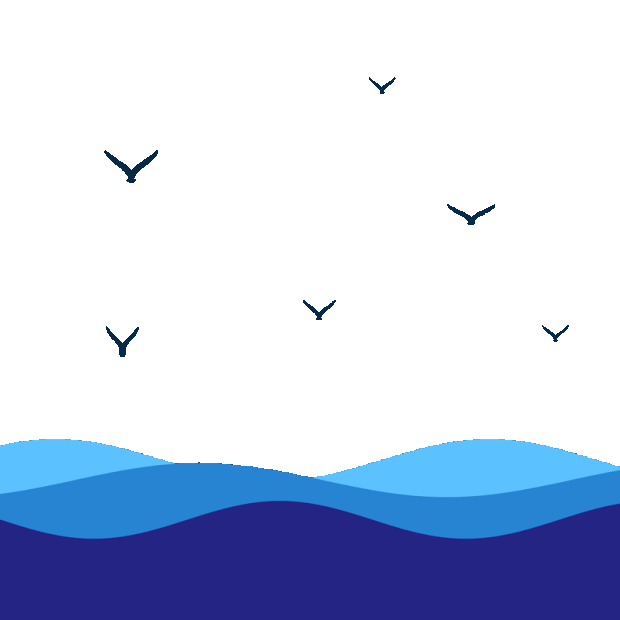 海鸥海洋海水流动gif图素材