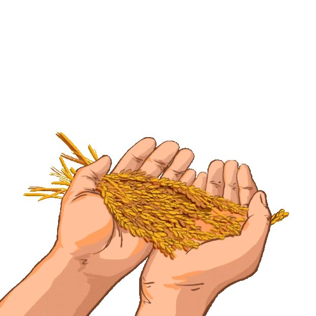 秋天麦子麦穗手捧粮食gif图素材