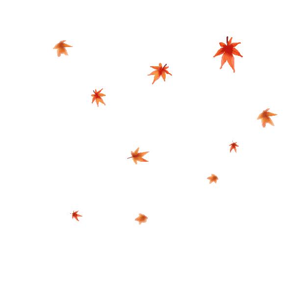 秋天飘浮枫叶落叶树叶叶子gif图素材