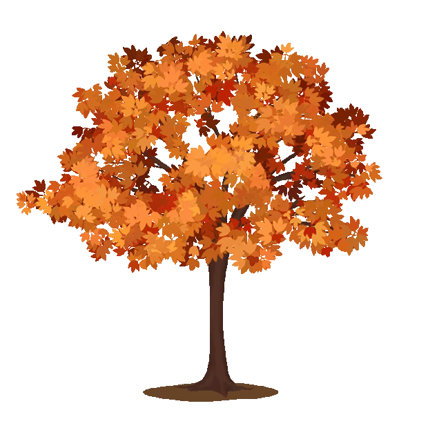秋天植物树木落叶树叶树gif图素材