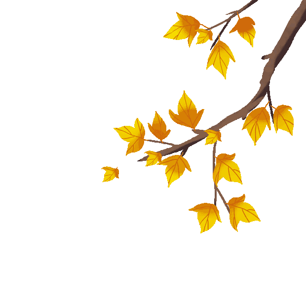秋天秋分节气树枝梧桐叶子植物gif图素材