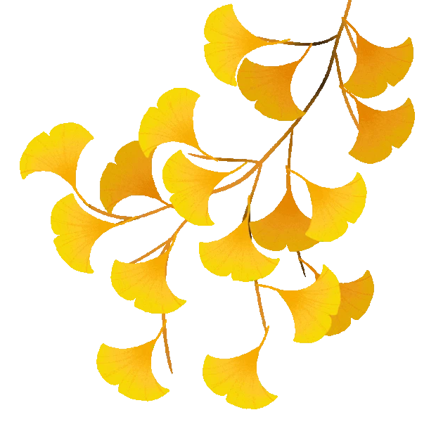 秋天秋分银杏树叶叶子黄色gif图素材