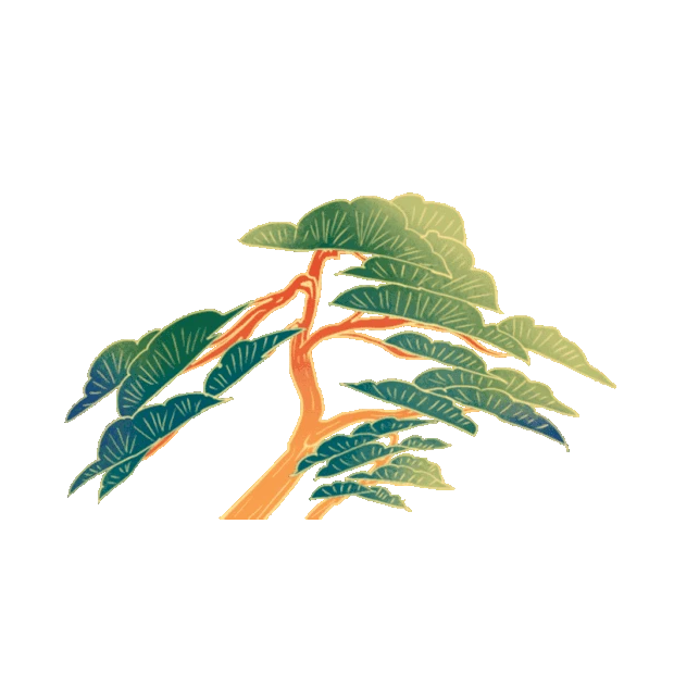国潮松树树木植物gif图素材