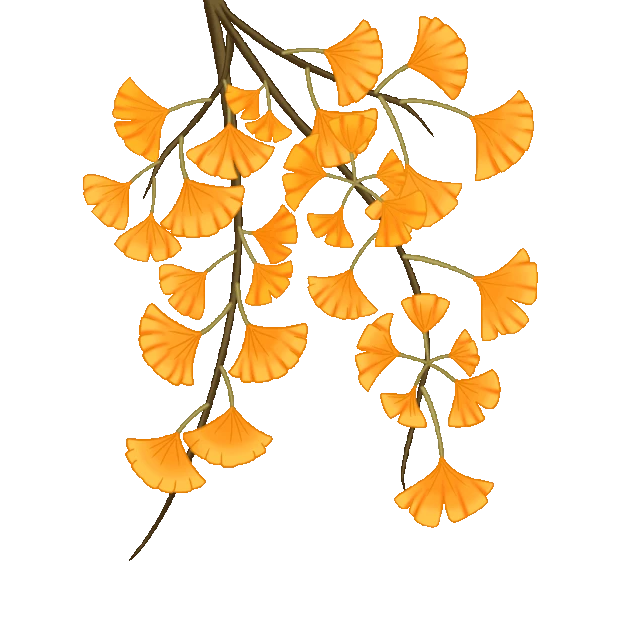 秋天秋季植物银杏树秋叶落叶树叶黄色gif图素材