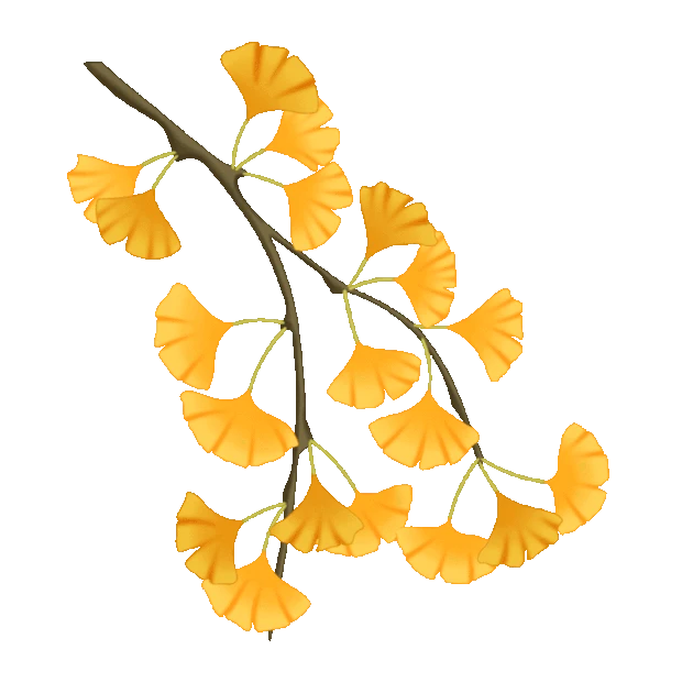 秋天银杏树叶子植物树叶黄色gif图素材