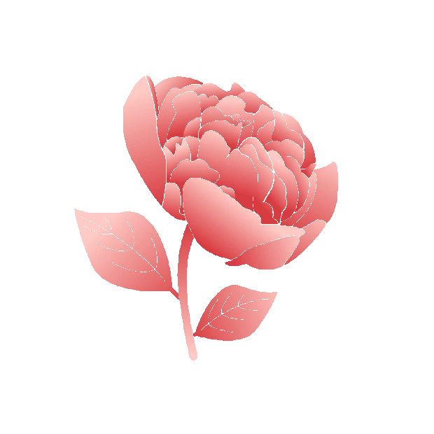 粉红色浪漫渐变花卉花朵花牡丹