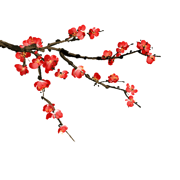 水墨梅花花朵花中国风gif图素材