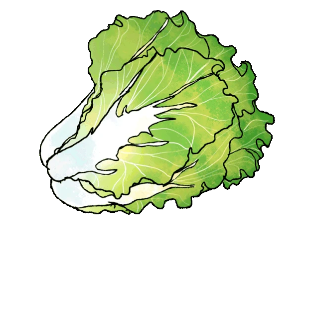 蔬菜白菜绿色gif图素材