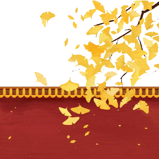 秋天墙角银杏树清新gif图素材