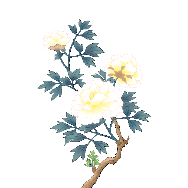 白牡丹水墨风植物花卉花朵花gif图素材