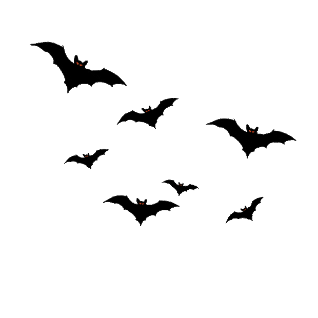 万圣节恐怖蝙蝠黑色动物gif图素材