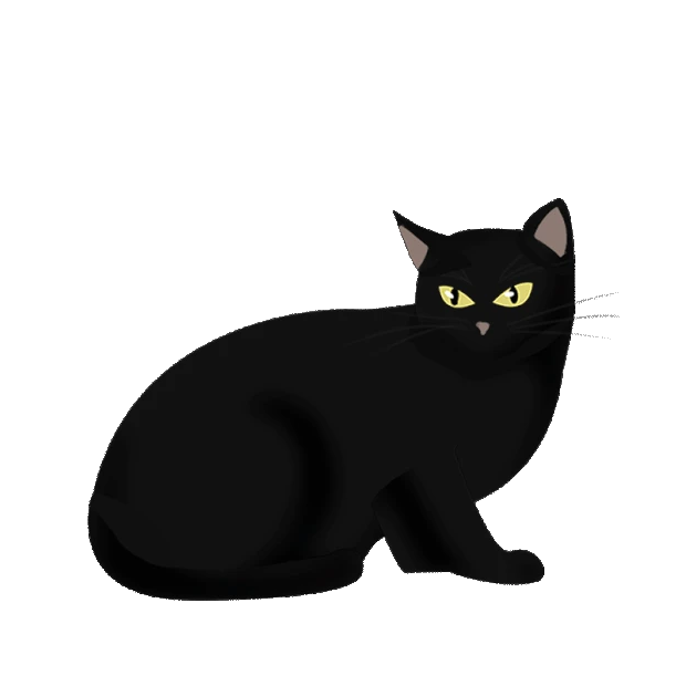 万圣节黑猫卡通可爱动物警觉观察试探  