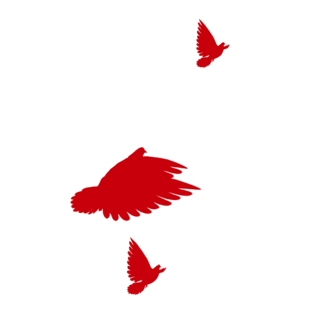 十一国庆节国庆红色和平鸽飞翔飞鸟gif图素材