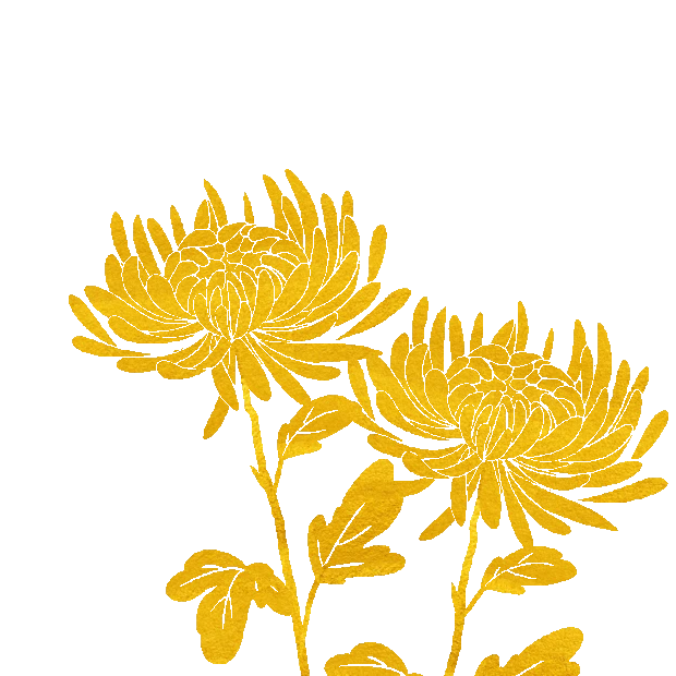 重阳节重阳菊花花卉烫金金色花朵花gif图素材