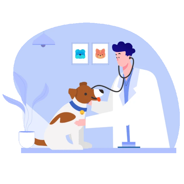 宠物医生兽医看病治疗检查宠物狗gif图素材