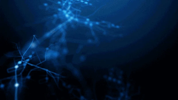 蓝色线条光点科技视频背景gif图素材