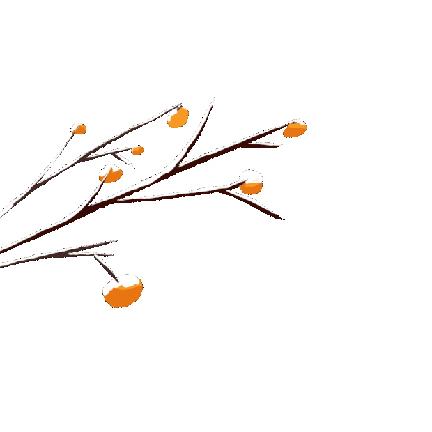 霜降节气柿子树枝堆雪gif图素材